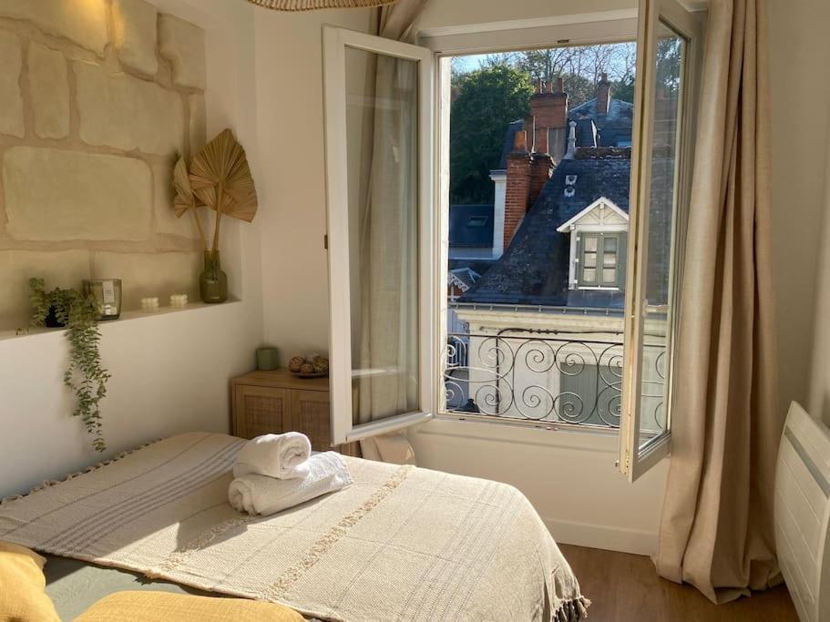 Apartament Duplex Cinema - Centre Historique Tours Zewnętrze zdjęcie